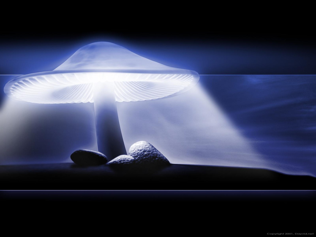 digital-art-mushroom